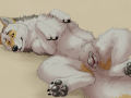 1477925495.znewnav_zbbsafsjsvany.cat.png